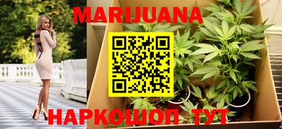 гидра Бийск