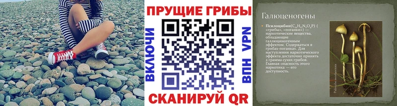 МЕГА онион  магазин  наркотиков  Воронеж  Галлюциногенные грибы Psilocybe 