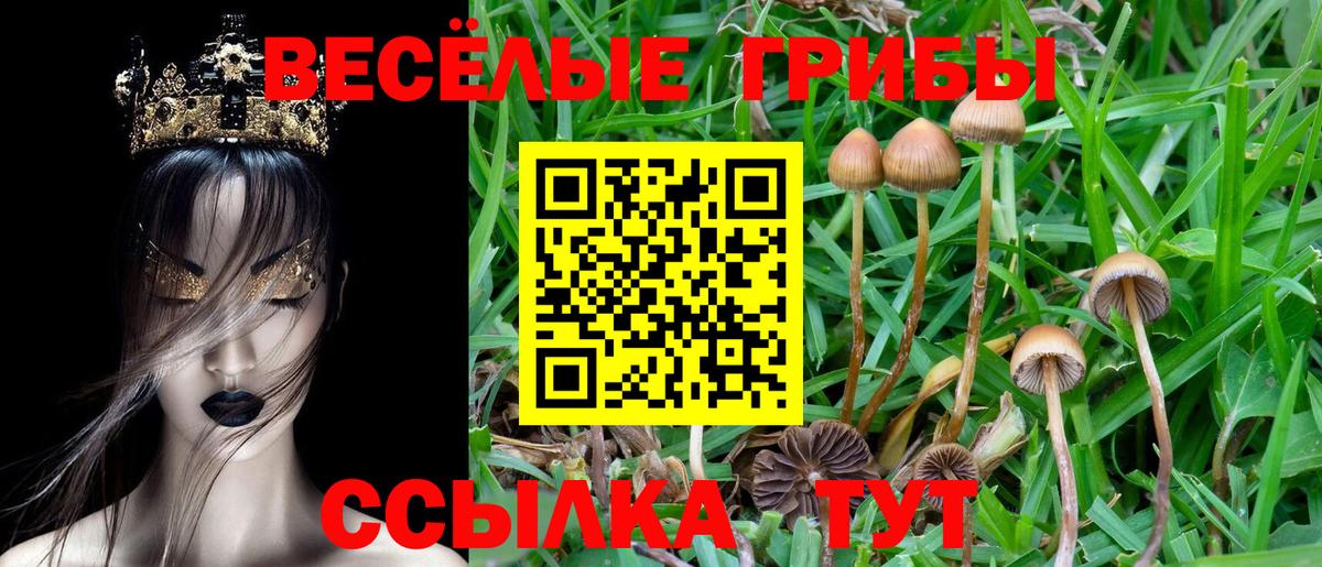 Псилоцибиновые грибы мухоморы Воронеж