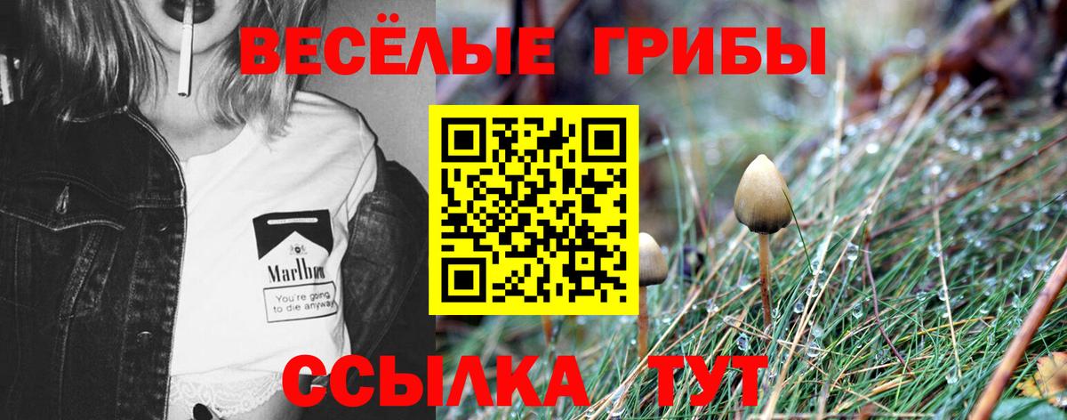 где купить наркоту  Галлюциногенные грибы мицелий  Галлюциногенные грибы Magic Shrooms  Вход с VPN  Воронеж 