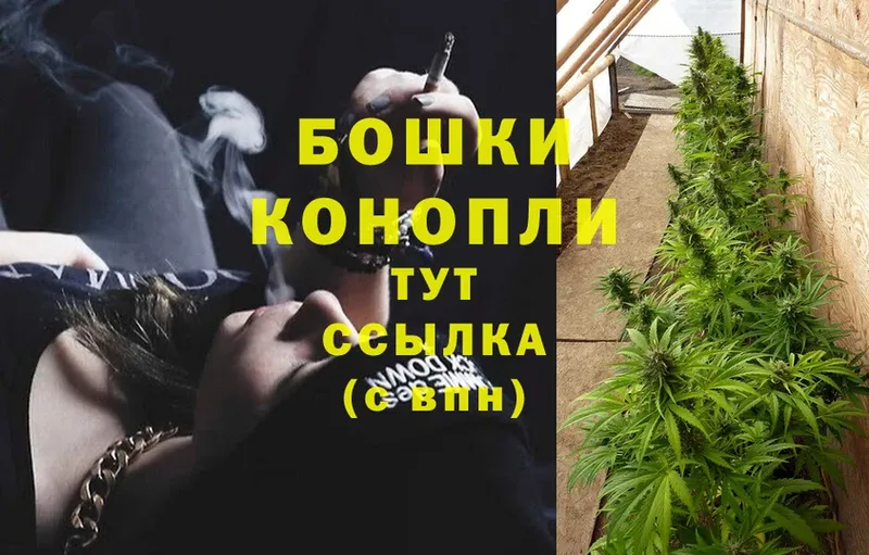 наркотики  Воронеж  Канабис OG Kush 