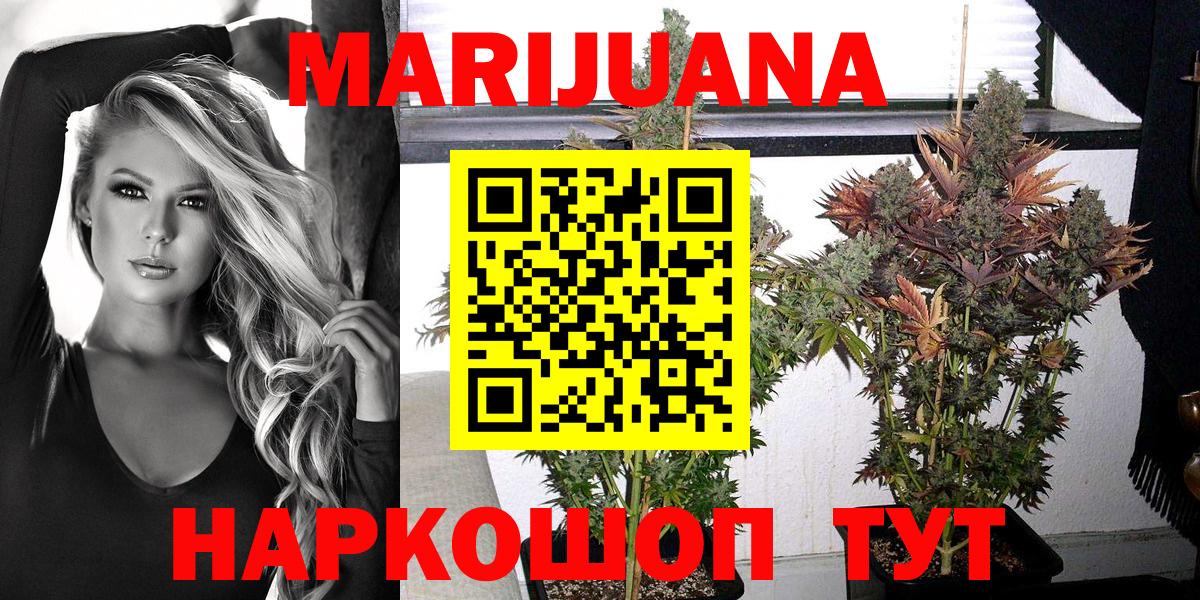 Марихуана сатива  Вход с VPN  Шишки марихуана марихуана  Бошки Шишки сатива  Марихуана Amnesia  Воронеж 