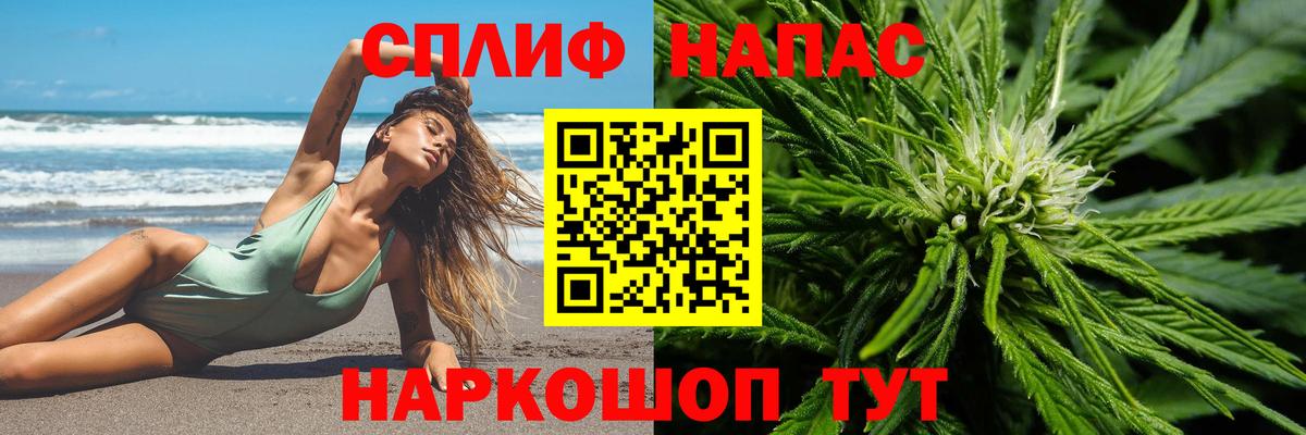 Конопля конопля  Конопля тримм  Воронеж  Вход с VPN  Канабис ГИДРОПОН 